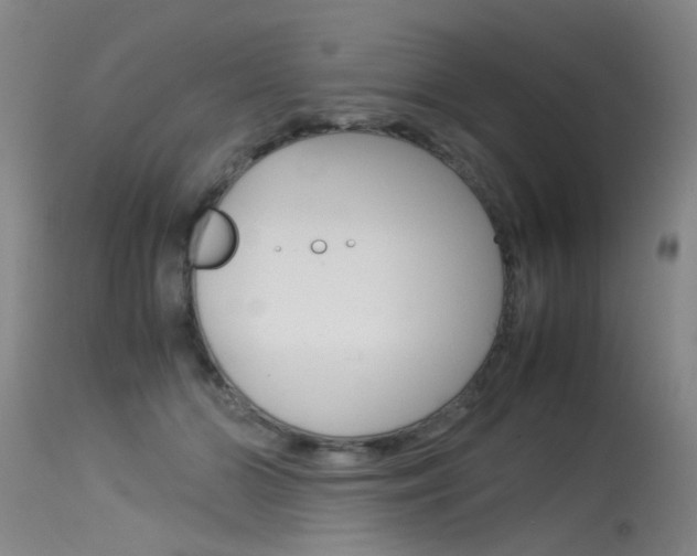 X0000115540510200911061153