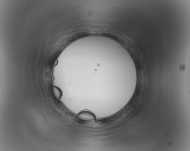 X0000115540511200911061153