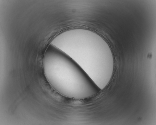 X0000115540513200911061153