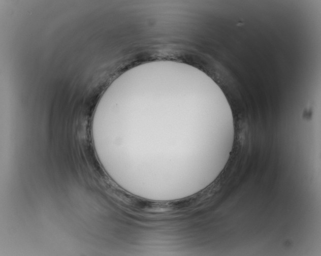 X0000115540514200911061153