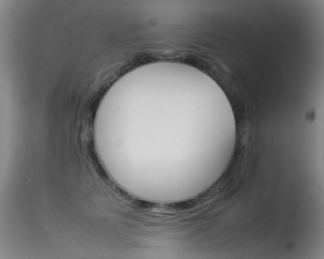 X0000115540515200911061153