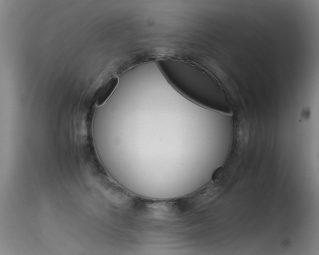 X0000115540516200911061153