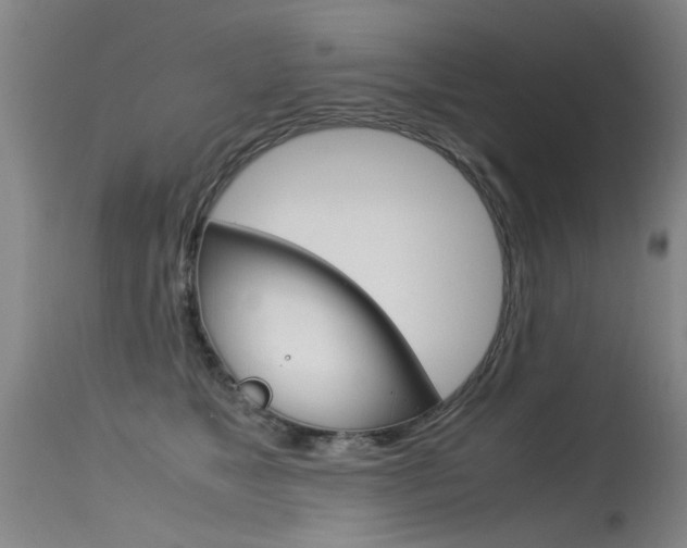 X0000115540517200911061153