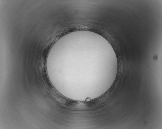 X0000115540518200911061153