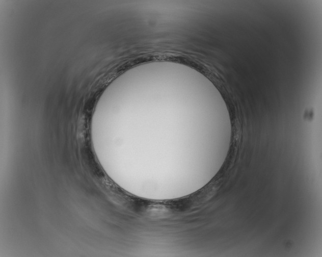 X0000115540519200911061153