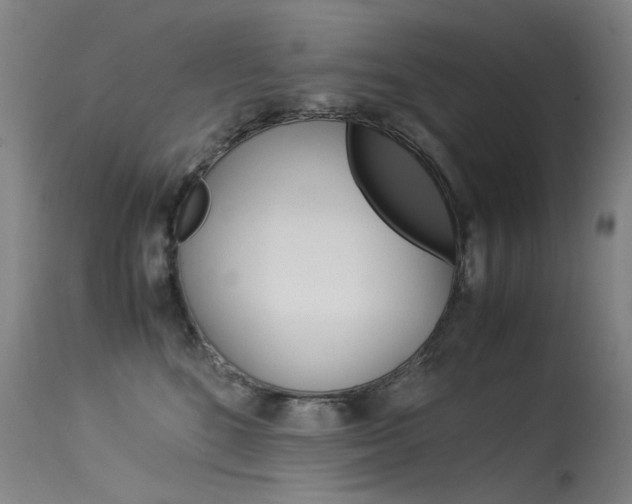 X0000115540520200911061153