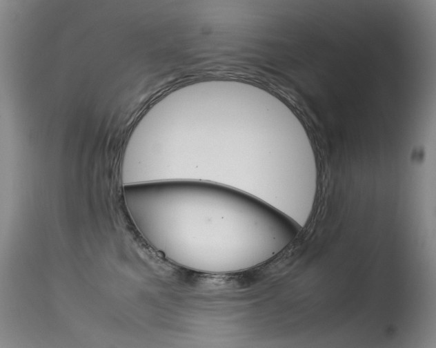 X0000115540521200911061153