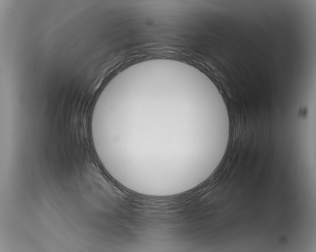 X0000115540524200911061153