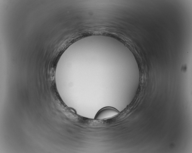 X0000115540525200911061153