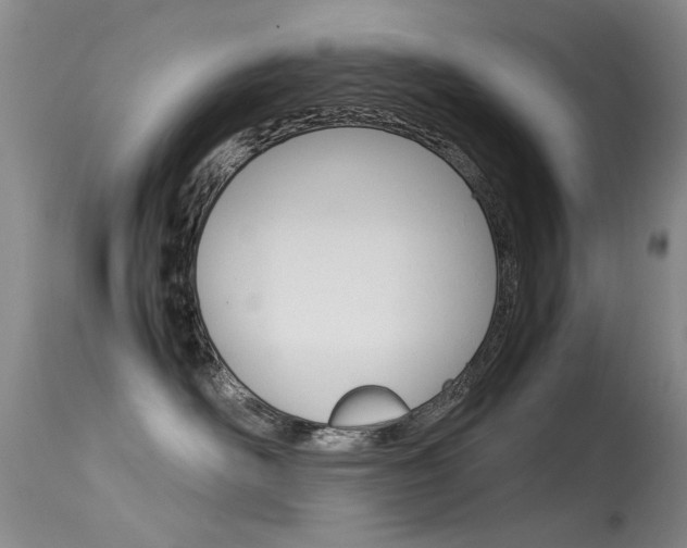 X0000115540526200911061153