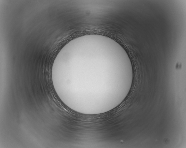 X0000115540528200911061153