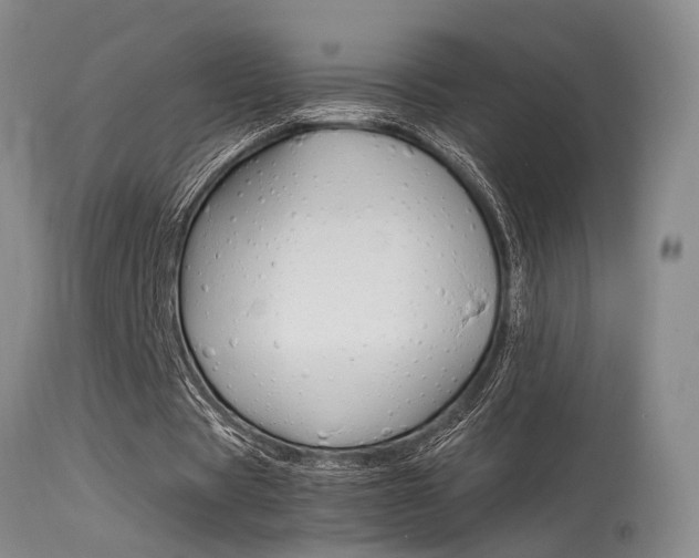 X0000115540529200911061152