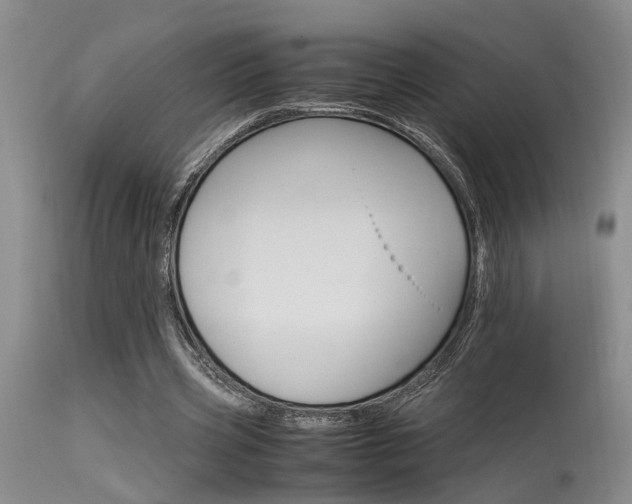 X0000115540533200911061152