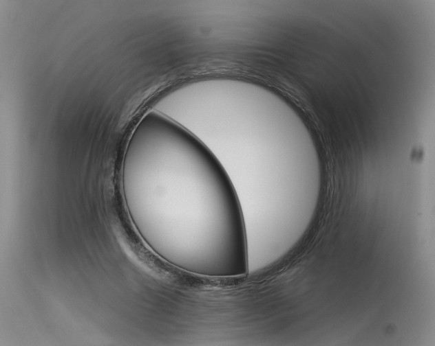 X0000115540538200911061152