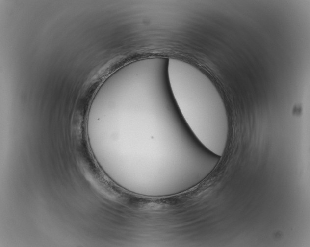 X0000115540542200911061152