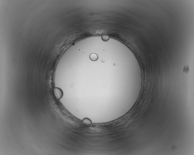 X0000115540545200911061152