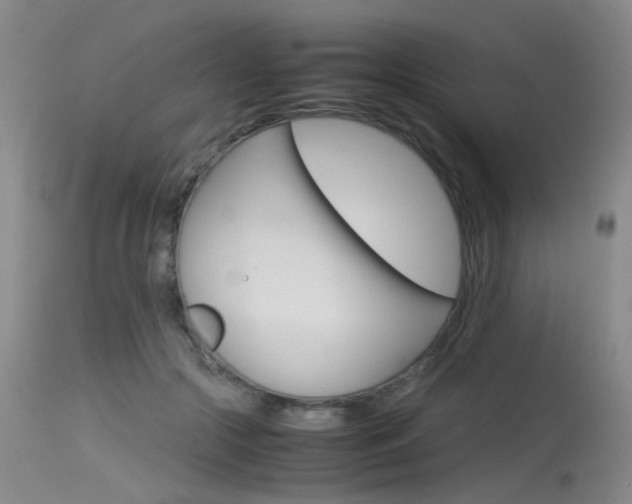 X0000115540553200911061152