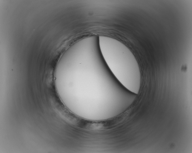 X0000115540554200911061152