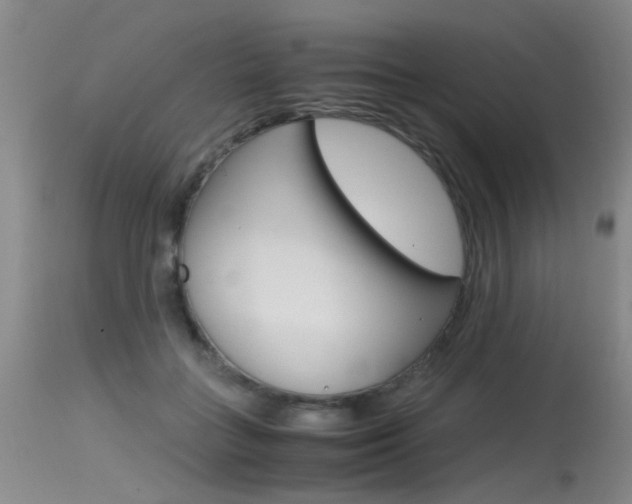 X0000115540555200911061152