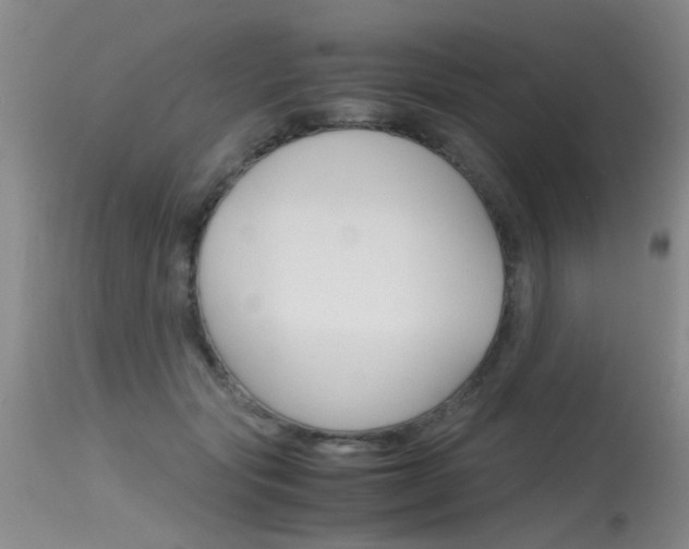 X0000115540557200911061152