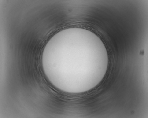 X0000115540558200911061152