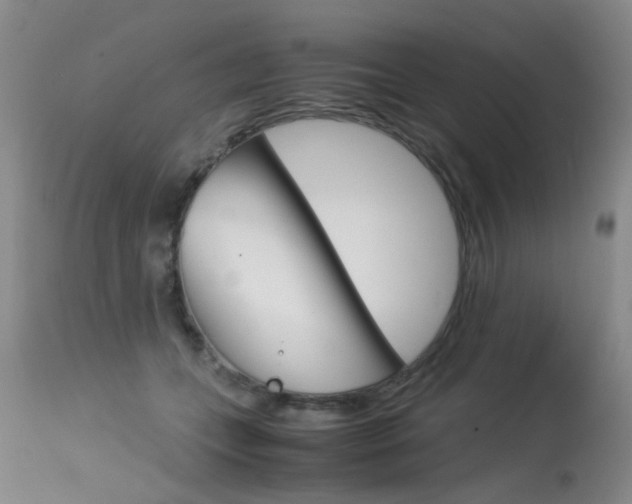 X0000115540559200911061152