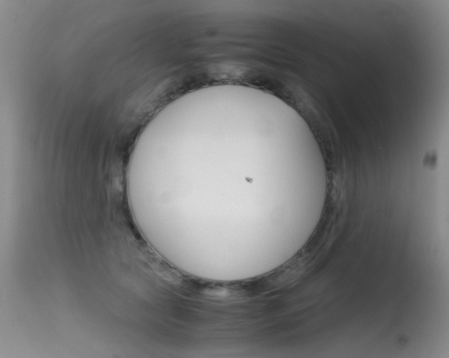 X0000115540561200911061152