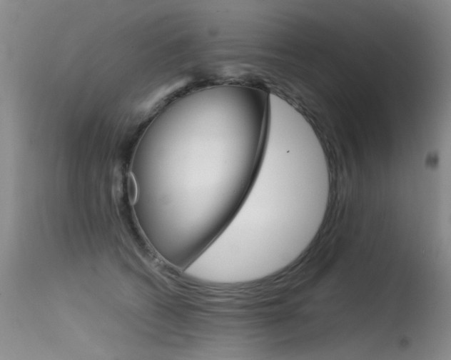 X0000115540562200911061153