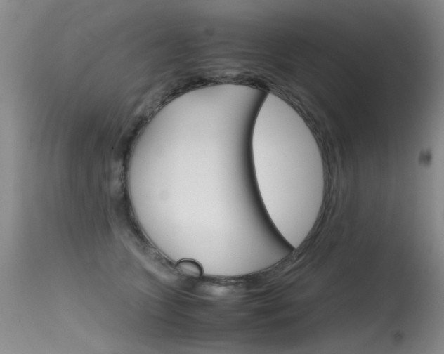 X0000115540563200911061153