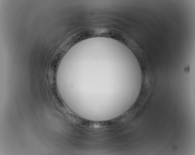 X0000115540565200911061153