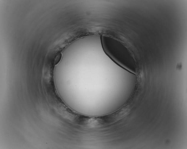 X0000115540566200911061153