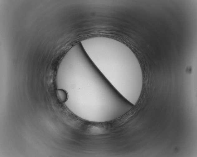 X0000115540567200911061153