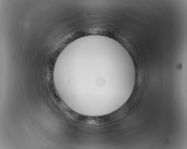 X0000115540569200911061153