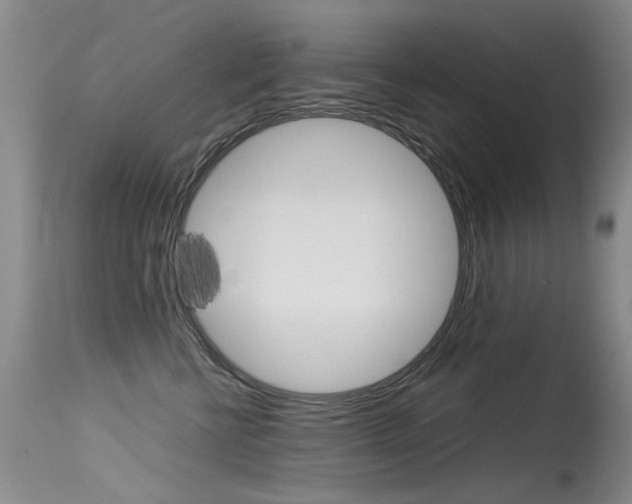 X0000115540570200911061153