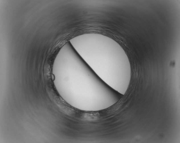 X0000115540571200911061153