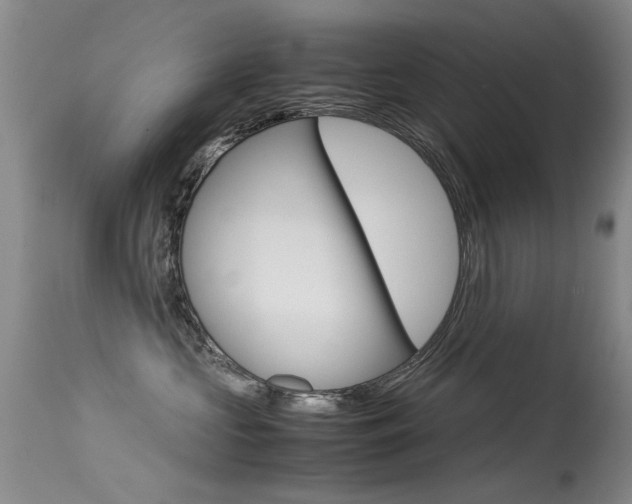 X0000115540573200911061153