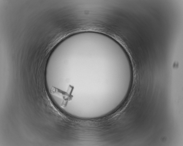 X0000115540577200911061152
