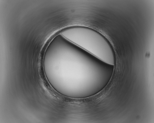 X0000115540580200911061152