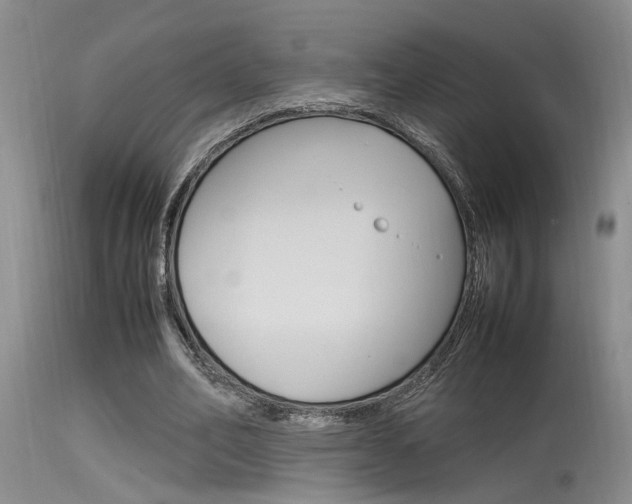 X0000115540582200911061152