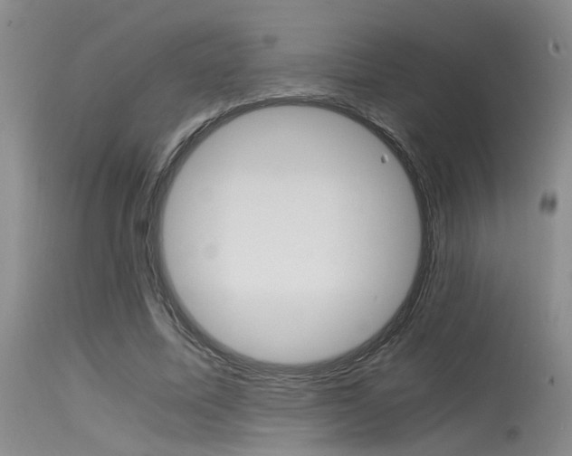 X0000115540587200911061152