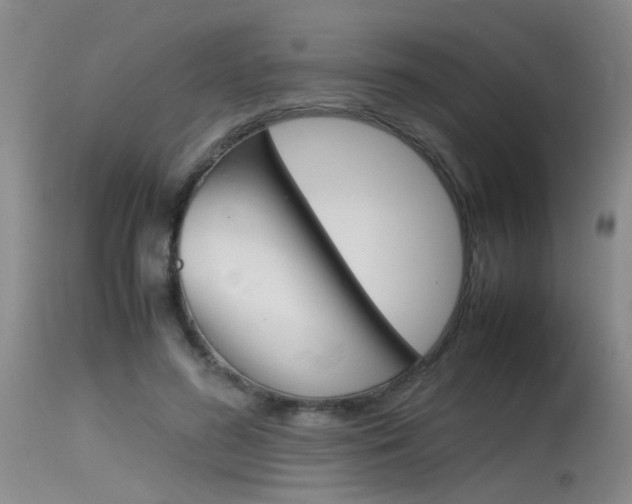 X0000115540596200911061152