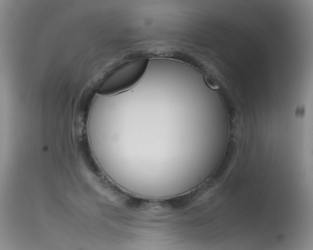 X0000115540597200911061152