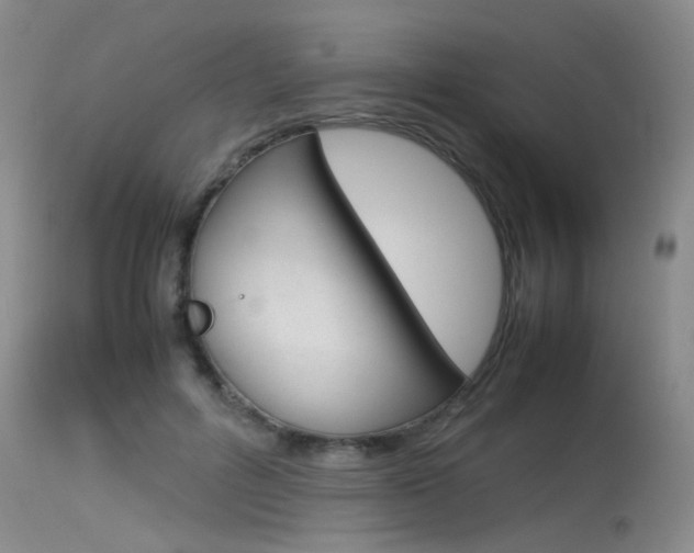 X0000115540600200911061152