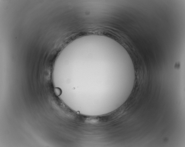 X0000115540602200911061152