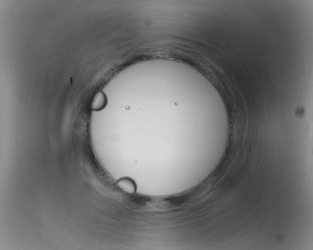 X0000115540603200911061152