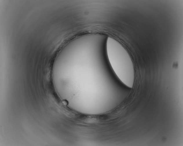 X0000115540604200911061151