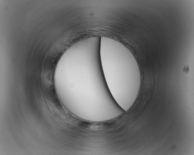 X0000115540606200911061151