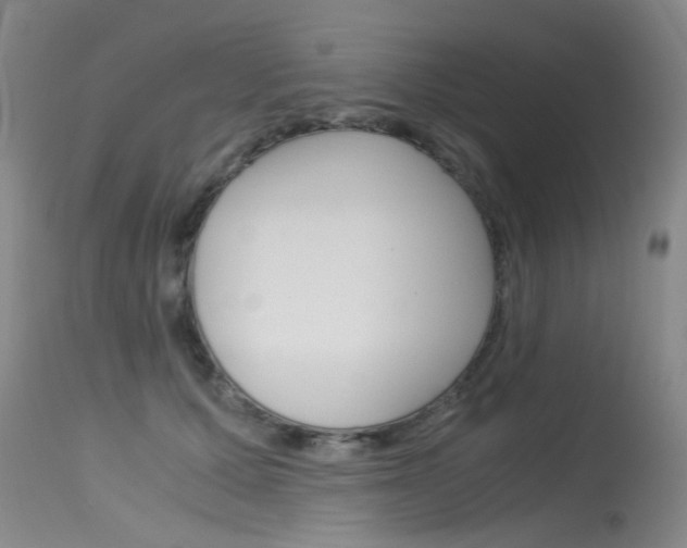 X0000115540607200911061151