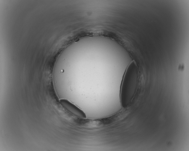 X0000115540609200911061151