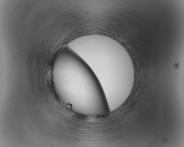 X0000115540613200911061151
